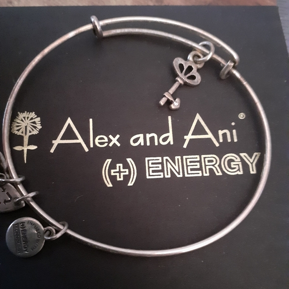 Alex and Ani skeleton key bracelet